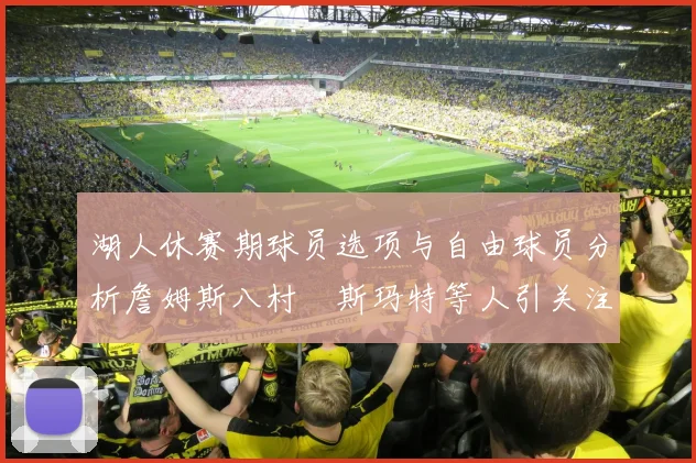 湖人休赛期球员选项与自由球员分析詹姆斯八村塁斯玛特等人引关注