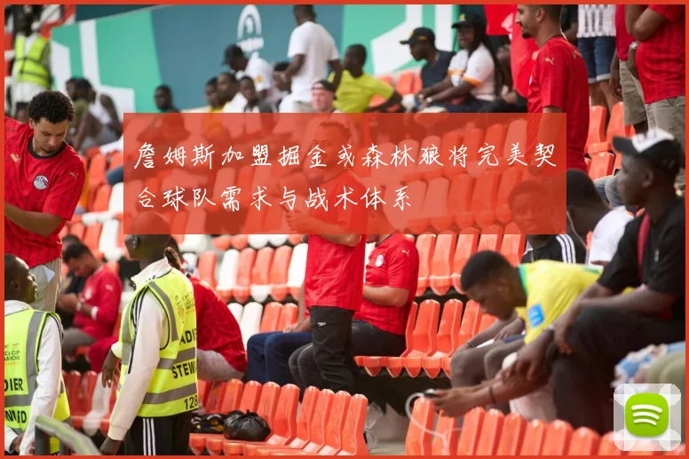 詹姆斯加盟掘金或森林狼将完美契合球队需求与战术体系