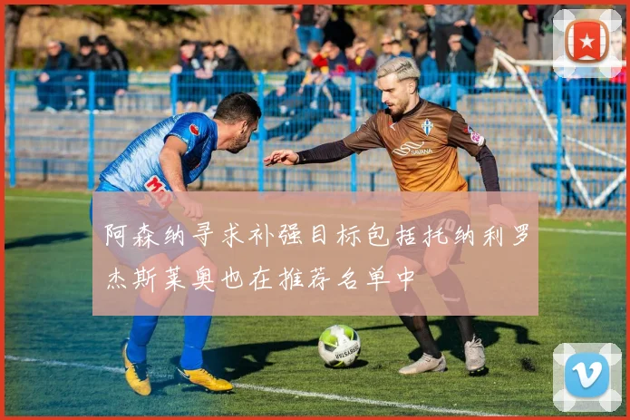 阿森纳寻求补强目标包括托纳利罗杰斯莱奥也在推荐名单中