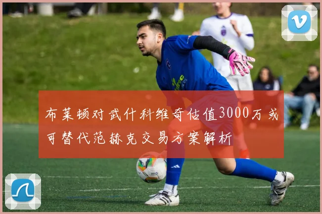 布莱顿对武什科维奇估值3000万或可替代范赫克交易方案解析