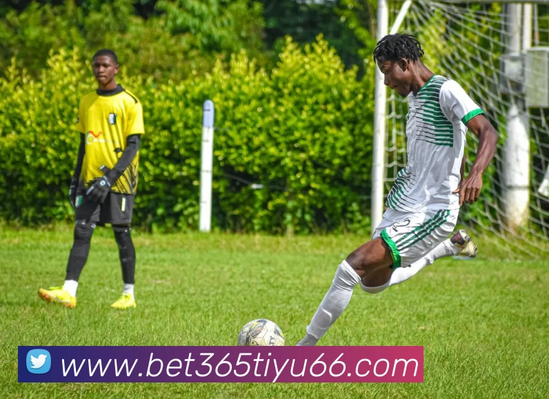 bet365体育品牌故事