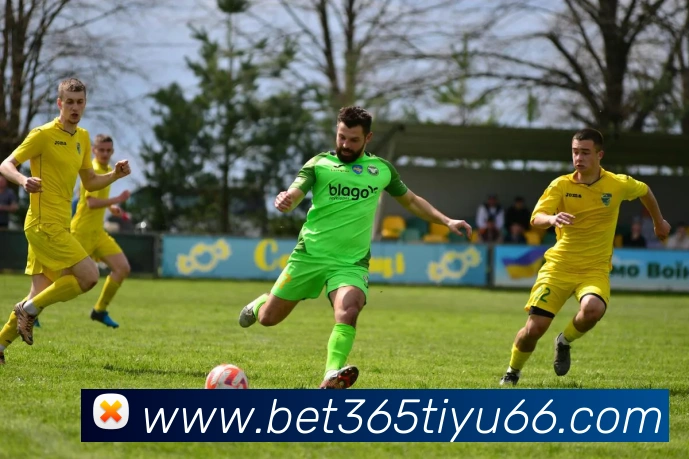 bet365体育服务体系